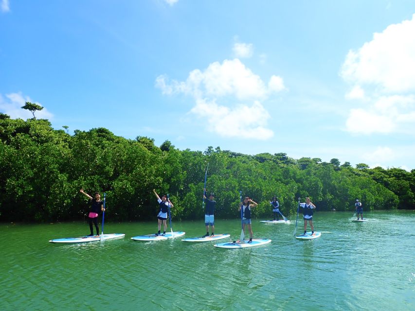 Ishigaki Island: 2-Hour Miyara River Kayaking Tour - Location Information