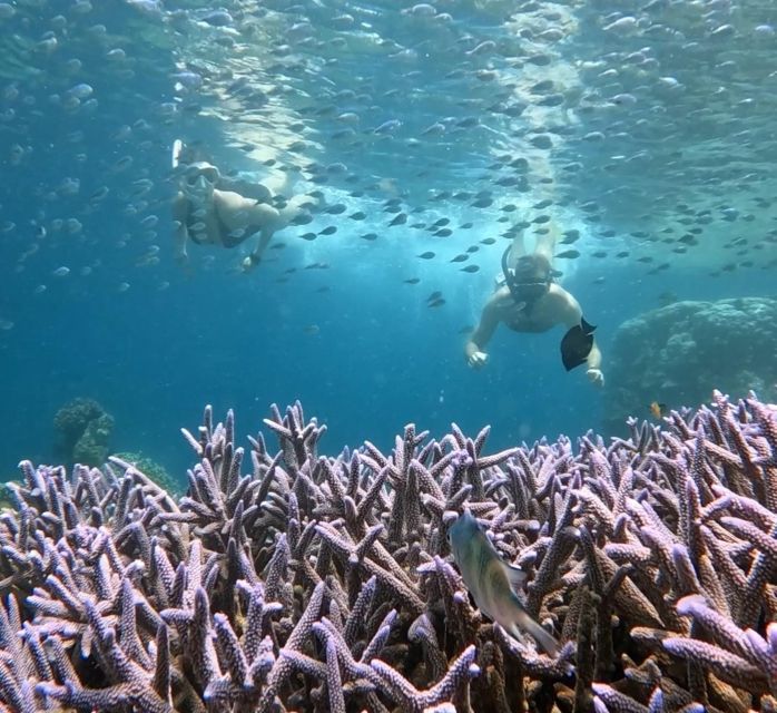 Island Hopping Gili Asahan, Gede, Rengit, Layar & Goleng - Safety Guidelines to Follow