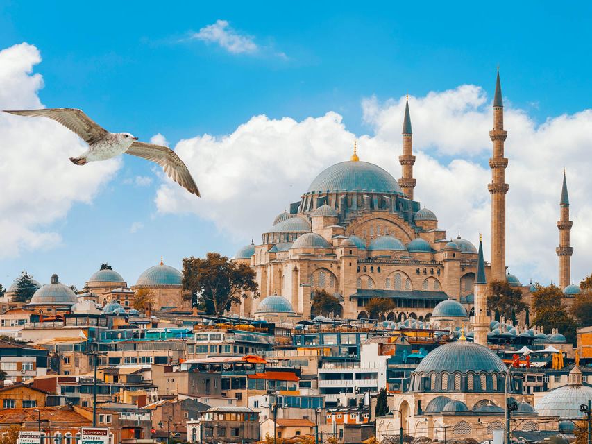 Istanbul: Bosphorus Cruise and Dolmabahçe Palace Day Tour - Overall Tour Experience