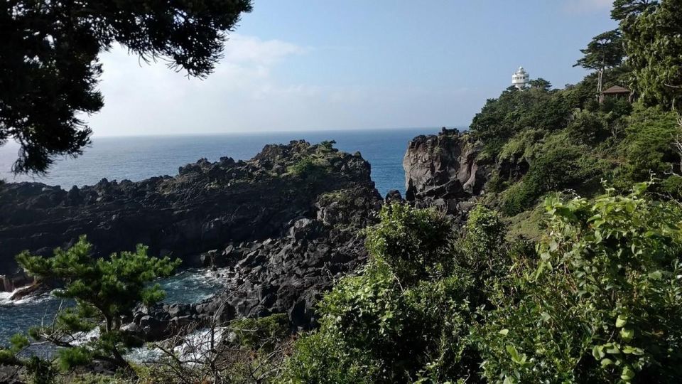 Izu Peninsula: Jogasaki Coast Experience - Booking Information