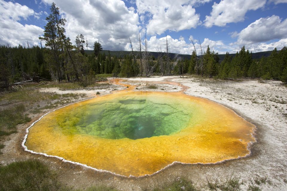 Jackson: 2-Day Yellowstone National Park Tour With Lunches - Common questions