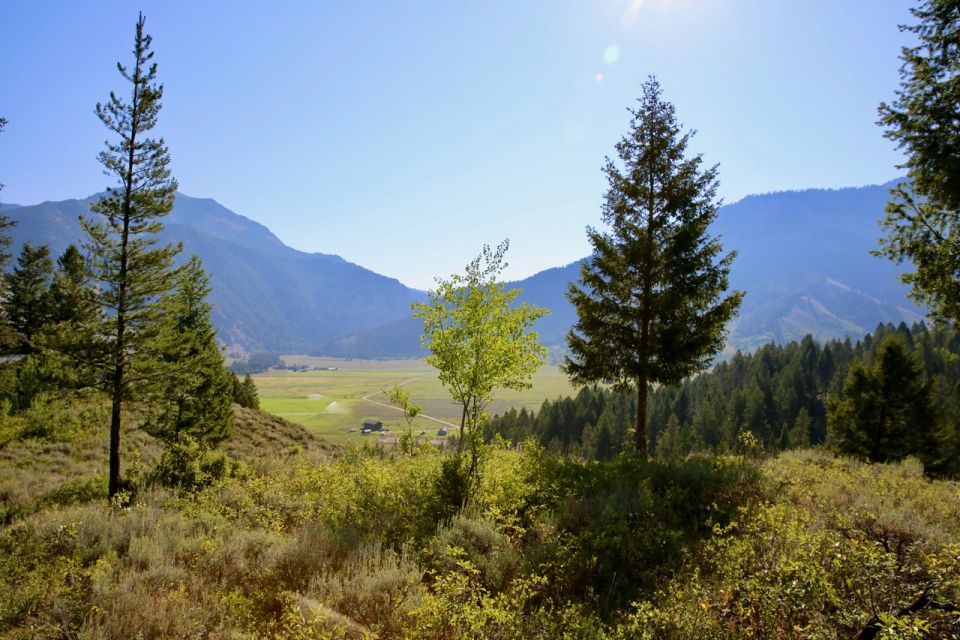 Jackson Hole: Bryan's Flat Guided Scenic Horseback Ride - Reservation Information