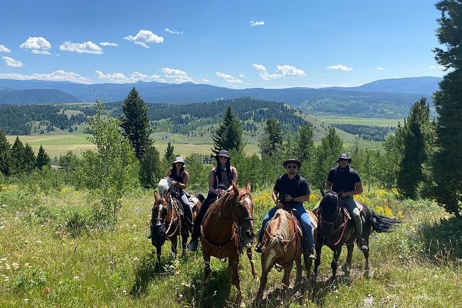 Jackson Hole Horseback Riding in the Bridger-Teton National Forest - Reviews and Experiences