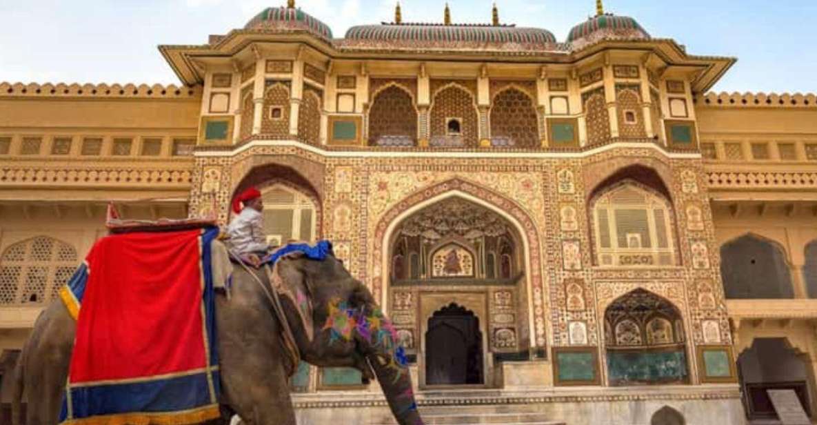 Jaipur Sameday Tour By Car - Elephant Activity Experience