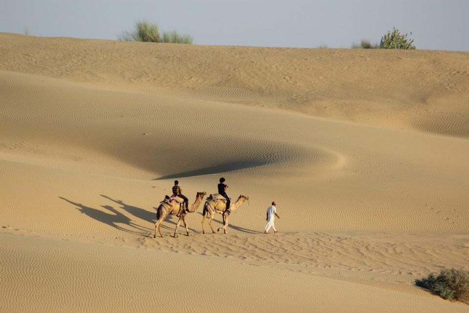 Jaisalmer: Luxury Camping in the Desert - Morning Activities and Return