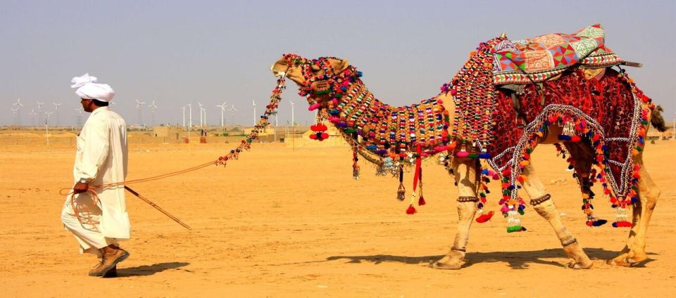 Jaisalmer: Private Full-Day City Sightseeing Guided Tour - Common questions
