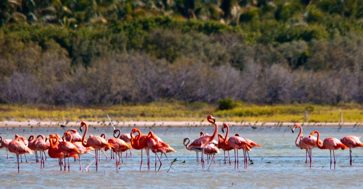 Jaragua National Park: Explore Laguna De Oviedo - Common questions