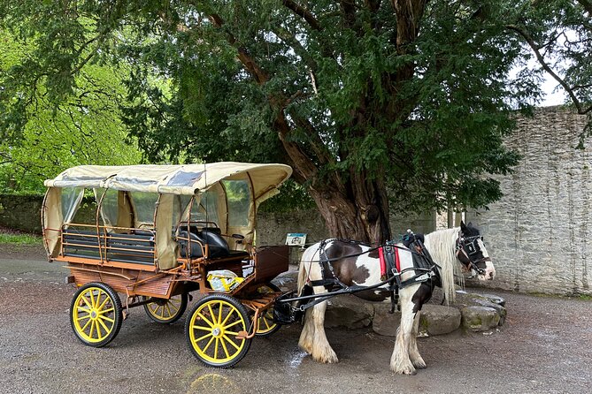 Jaunting Car Tour in Killarney National Park - Traveler Reviews