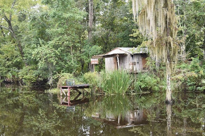 Jean Lafitte 90-Minute Swamp and Bayou Boat Tour - The Wrap Up