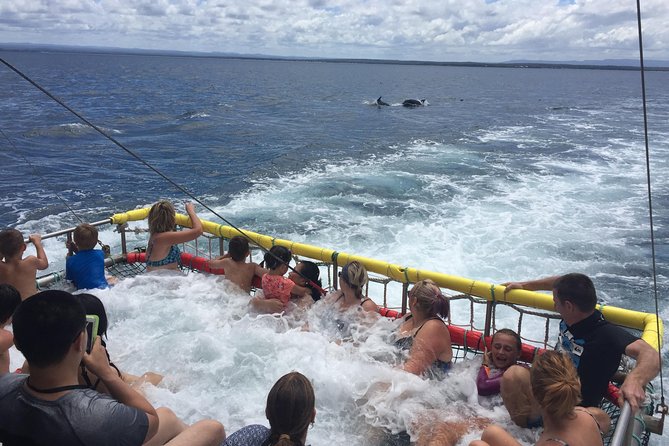 Jervis Bay Boom Netting and Dolphins Tour - Common questions