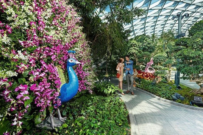 Jewel Changi Airport: Walking Net Complimentary Canopy Park - Common questions
