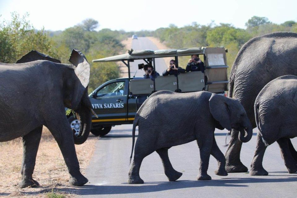 Johannesburg: 4-Day Classic Kruger National Park Safari - Logistics Information