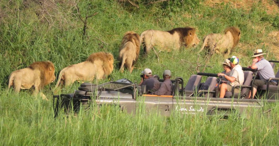 Johannesburg Safari Day Tour - Pilanesberg Big 5 Adventure - Additional Information