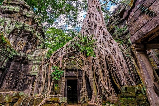 Join Group Tour Angkor Wat Small Group Full Day - Additional Information and Resources
