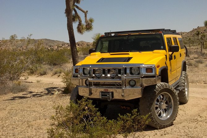 Joshua Tree National Park Scenic Tour - Transportation and Tour Duration