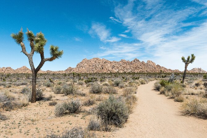 Joshua Tree National Park Self-Driving Audio Tour - Engaging Narration and Offline Maps