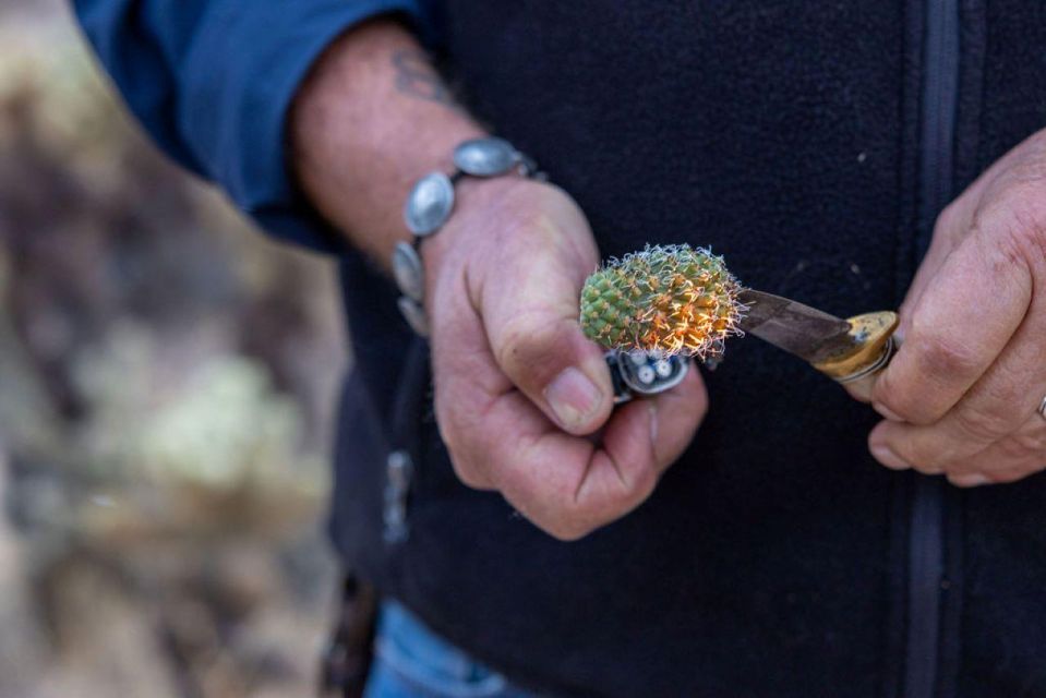 Jumping Cholla (Choya) Jeep Tour - Common questions