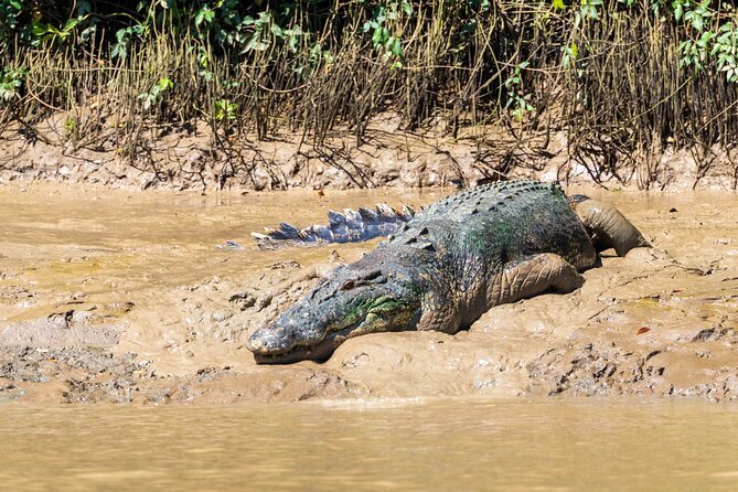 Jumping Crocodile Experience - Recommendations and Booking Tips