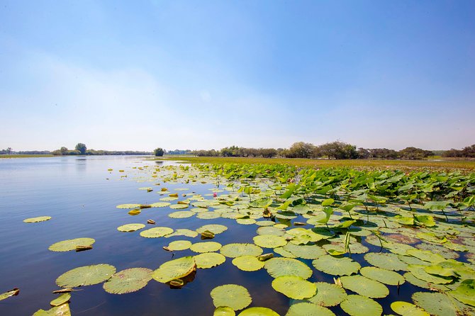 Jumping Crocs & Nature Adventure Cruise From Darwin - Common questions