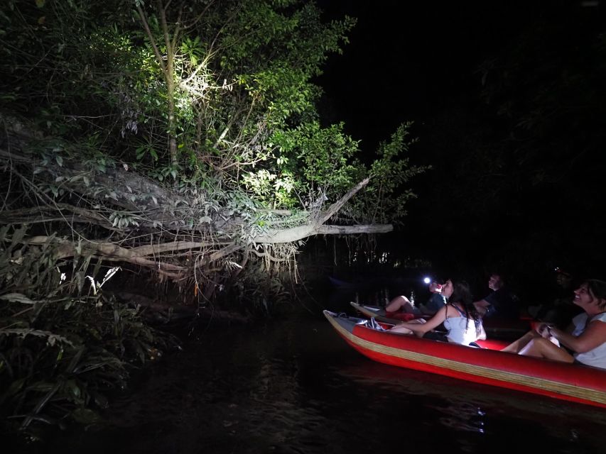 Jungle Night Tour : Finding Snakes and Night Species - Review Summary