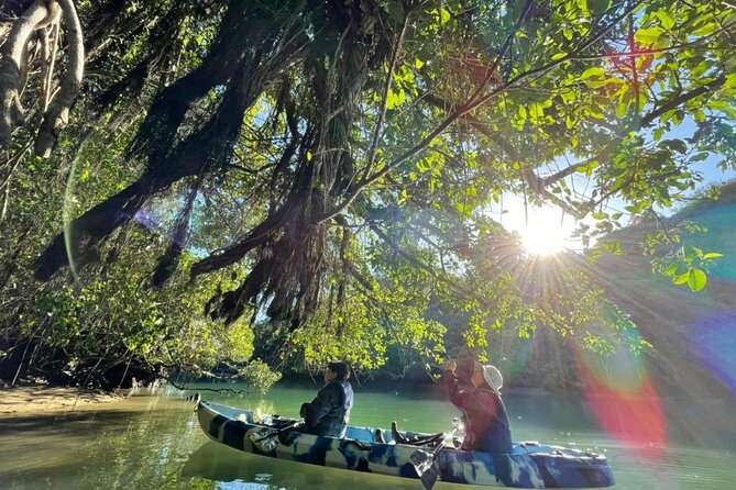 Kadena Mangrove Kayak Tour (Mar ) - Age Limit and Cancellation Policy