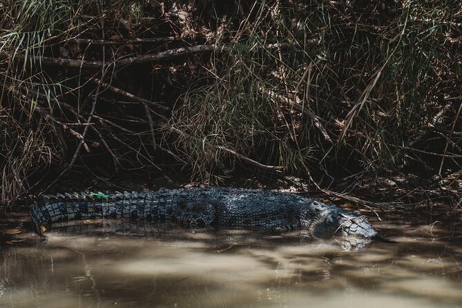 Kakadu Day Tour From Darwin With Offroad Dreaming - Common questions