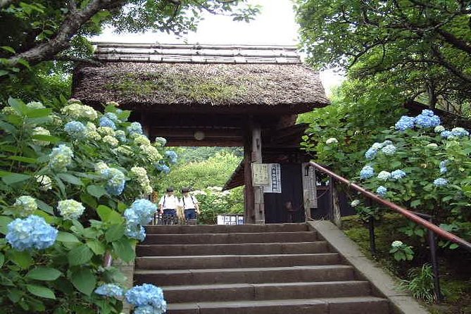 Kamakura 8 Hr Private Walking Tour With Licensed Guide From Tokyo - Booking Information