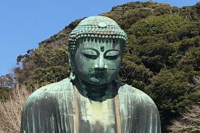 Kamakura Flower Tour - Pricing Options