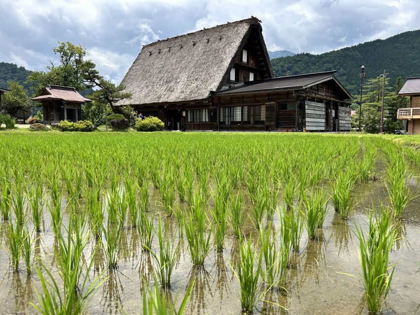 Kanazawa to Shirakawago: Half-Day Tour - Reviews