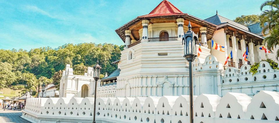 Kandy City Tour From Colombo - (Kandy Sightseeing Tour) - Convenience and Flexibility