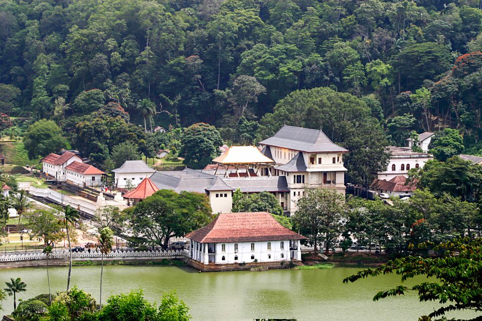 Kandy City Walk With a Local (Private 5-Hour Tour) - Local Guide Experience