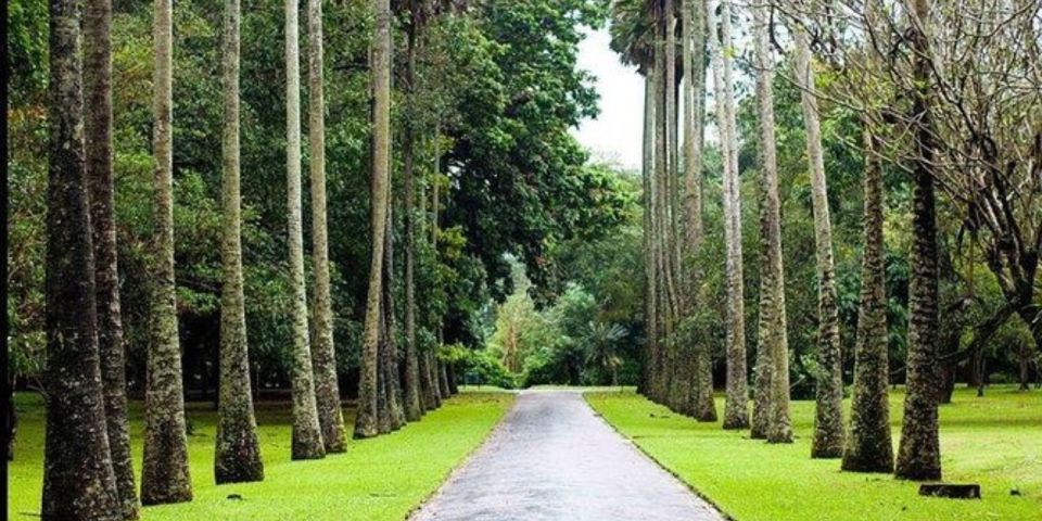 Kandy & Nuwara Eliya: 2-Day Tour! - Reservation Process