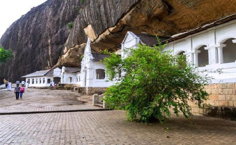 Kandy to Sigiriya Day Trip With Recommended Guide - Village Tour Experience