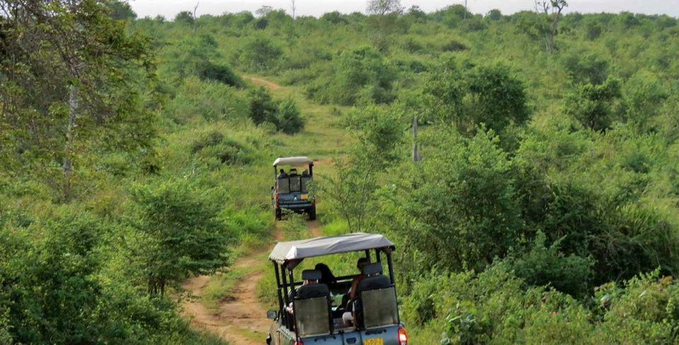 Kandy To Udawalawe National Park Safari Tour - Common questions