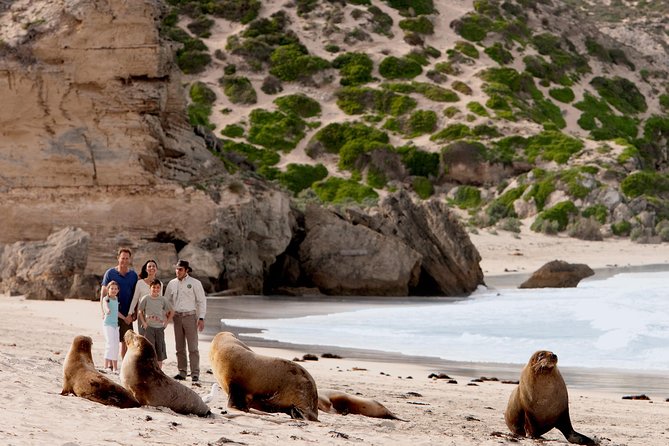 Kangaroo Island Scenic Nature and Wildlife Day Tour - Last Words