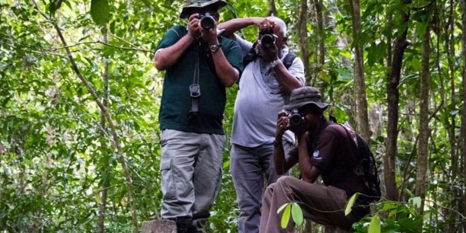 Kanneliya Forest Discovery: Guided Nature Expedition" - Inclusions in the Expedition