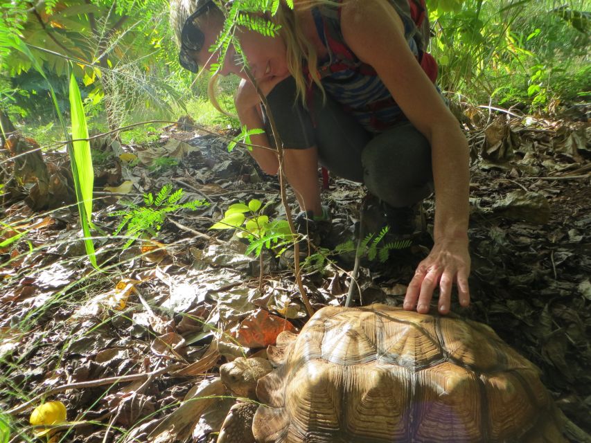 Kauai: Private Tortoises, Caves, and Cliffs South Shore Hike - Location and Additional Details