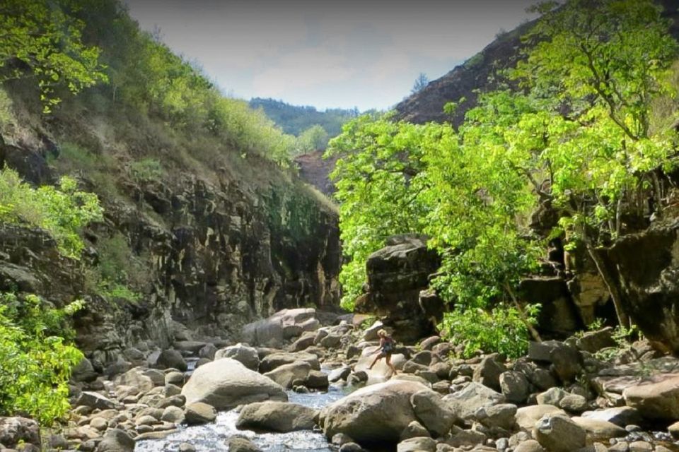 Kauai: Waimea Canyon & Kokeʻe State Park Private Tour - Customer Reviews and Testimonials