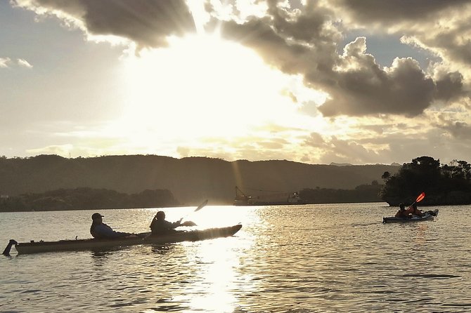 Kayak Mangroves or Coral Reef: Private Tour in North Okinawa - Additional Booking Information