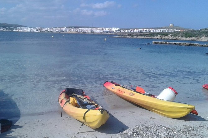 Kayak Tour in the Marine Reserve ! - Common questions