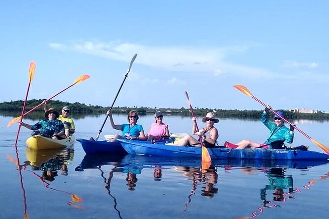 Kayak Tour of Mangrove Maze From Key West - Tour Highlights