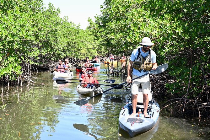 Kayaking Tour of Mangrove Tunnels in South Florida  - Fort Lauderdale - Booking Information