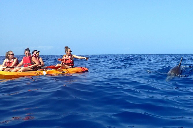 Kayaking With Dolphins and Turtles and Snorkelling in Tenerife - Additional Information and Practical Details