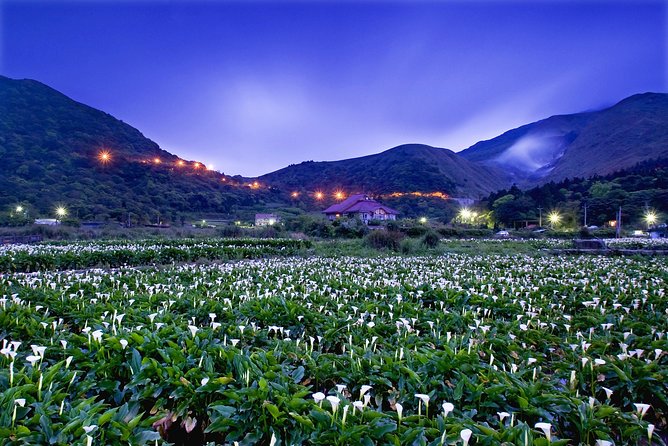 Keelung Shore Excursion: Yangmingshan Hot Spring and Wild Vegetable Cuisine Tour - Transportation Details