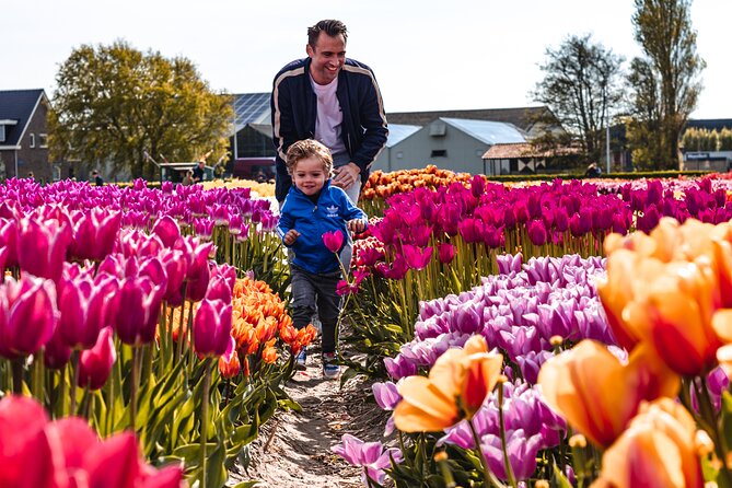 Keukenhof Gardens, Zaanse Schans Cheese Tasting Private Tour (Mar ) - Tour Product Details