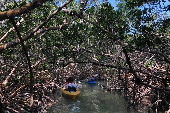 Key West Mangrove Kayak Eco Tour - Tour Directions