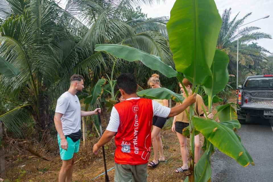 Khao Lak: All-Day Elephant Sanctuary Experience Small Groups - Additional Information