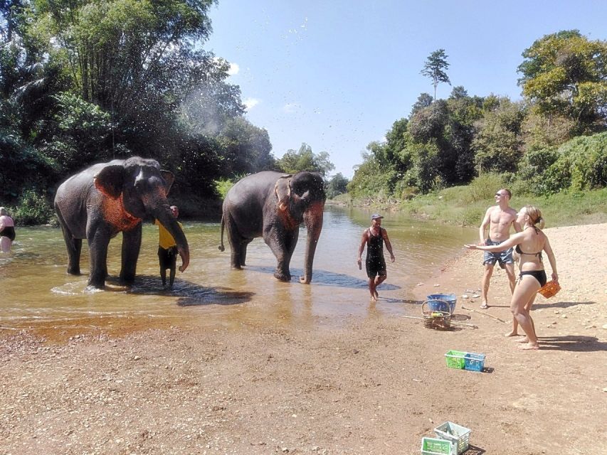 Khao Lak: Khao Sok Private Elephant Daycare & Bamboo Rafting - Review Summary