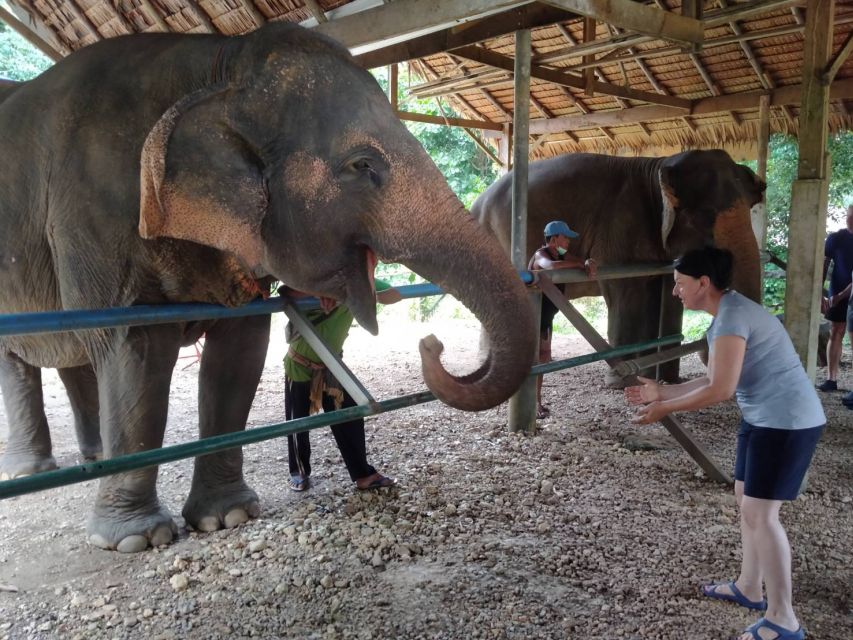 Khao Sok: Elephant Rescue Center With Lunch & Bamboo Rafting - Additional Information