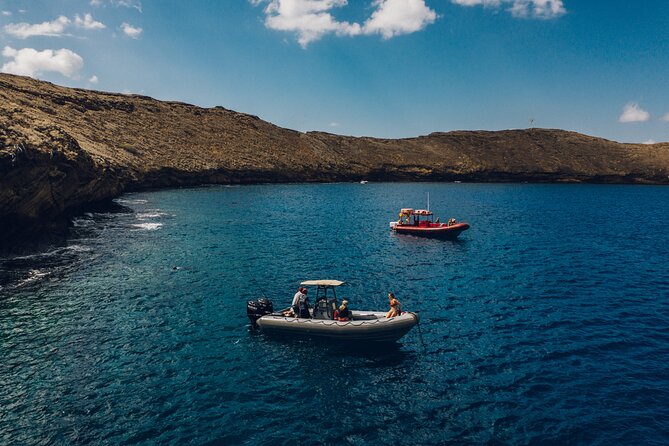 Kihei Small-Group Molokini Snorkel Tour (Mar ) - Common questions